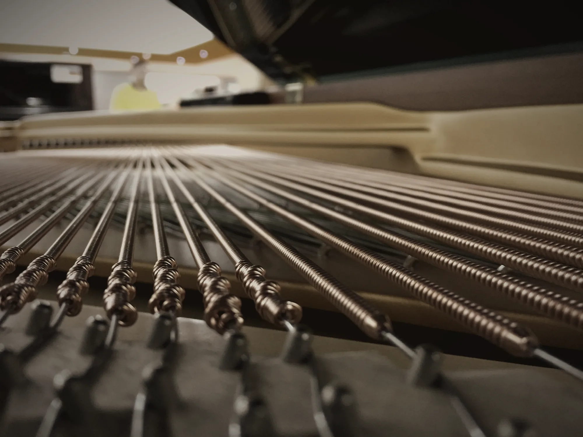 Copper-wound bass strings stretching across the frame of a grand piano