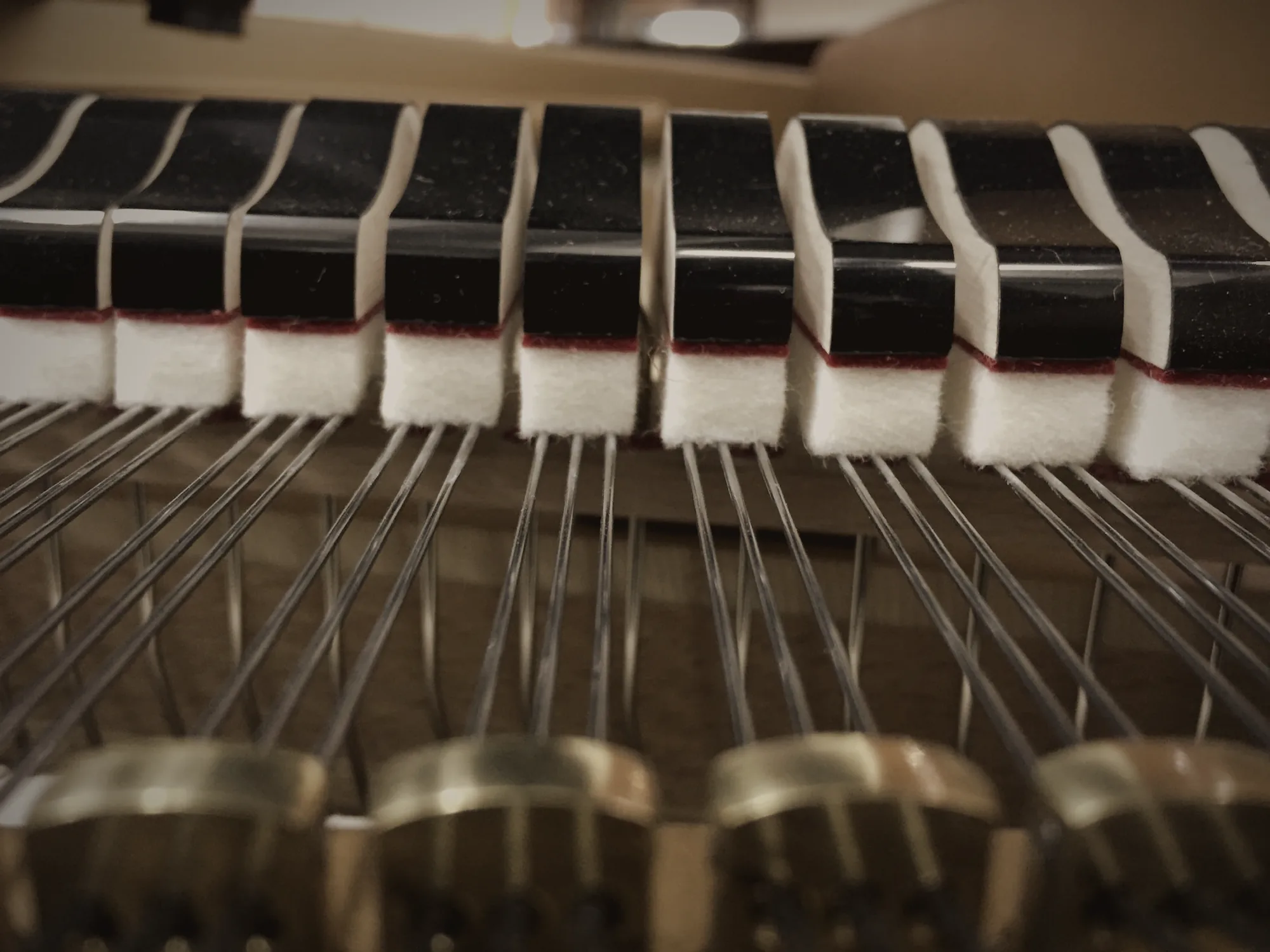 Felt dampers resting on the treble strings of a grand piano