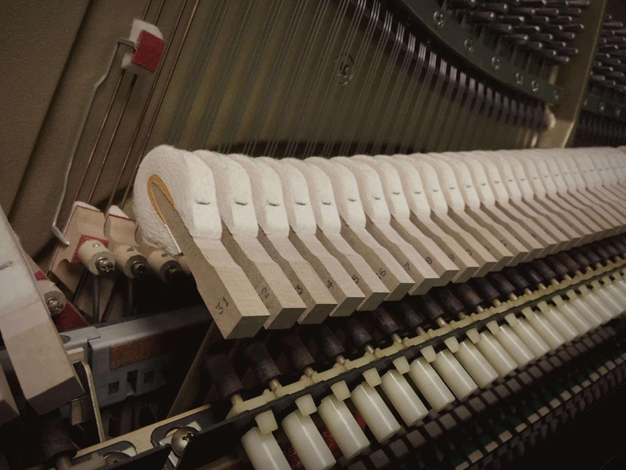 Numbered hammers and dampers inside an upright piano action