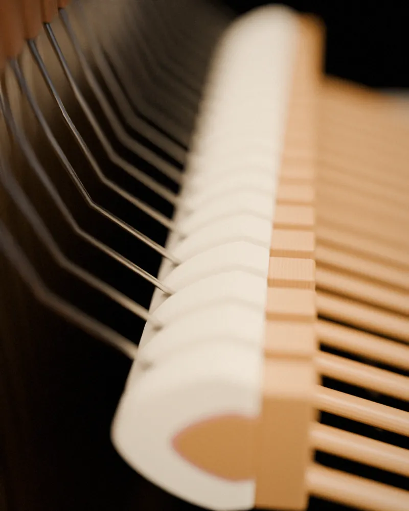 A row of piano hammers with white felt heads and wooden mouldings