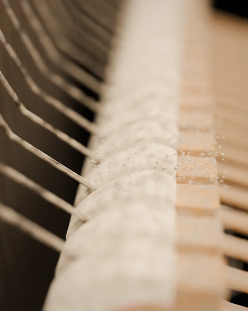 Demonstration image: piano hammers covered in dust